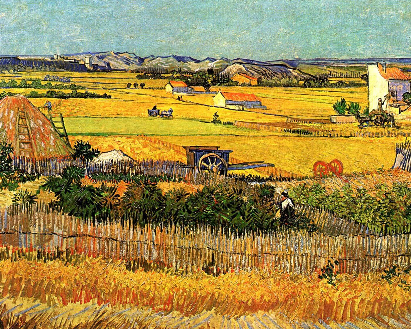 Harvest At La Crau