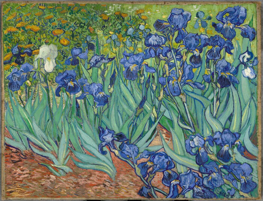 Irises