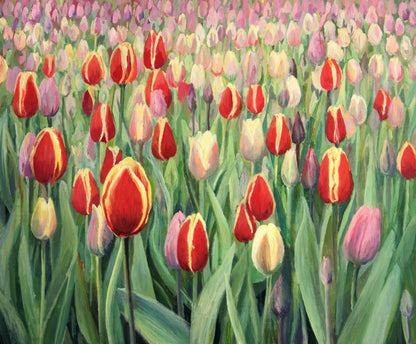 Tulips